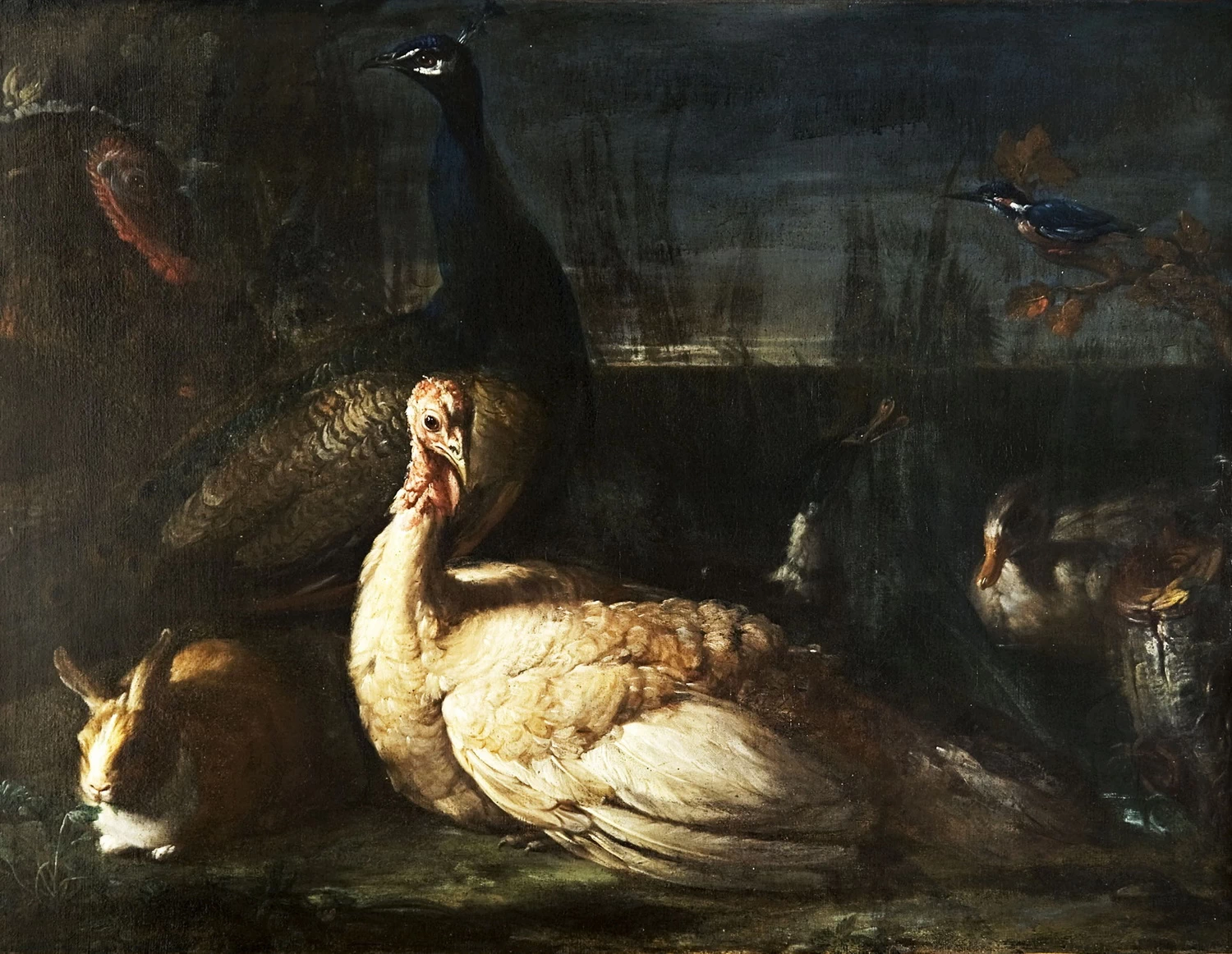 Candido - Coniglio, tacchino, pavone e uccelli